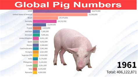 how many pigs are raised in china